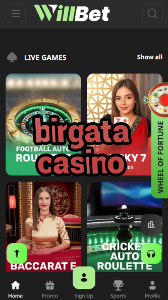 Birgata Casino - Premium Online Casino-www.bdqngd.com