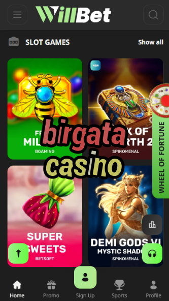 Birgata Casino - Premium Online Casino-www.bdqngd.com
